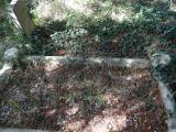 image of grave number 377415